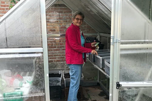 Prepare winter crops in the greenhouse