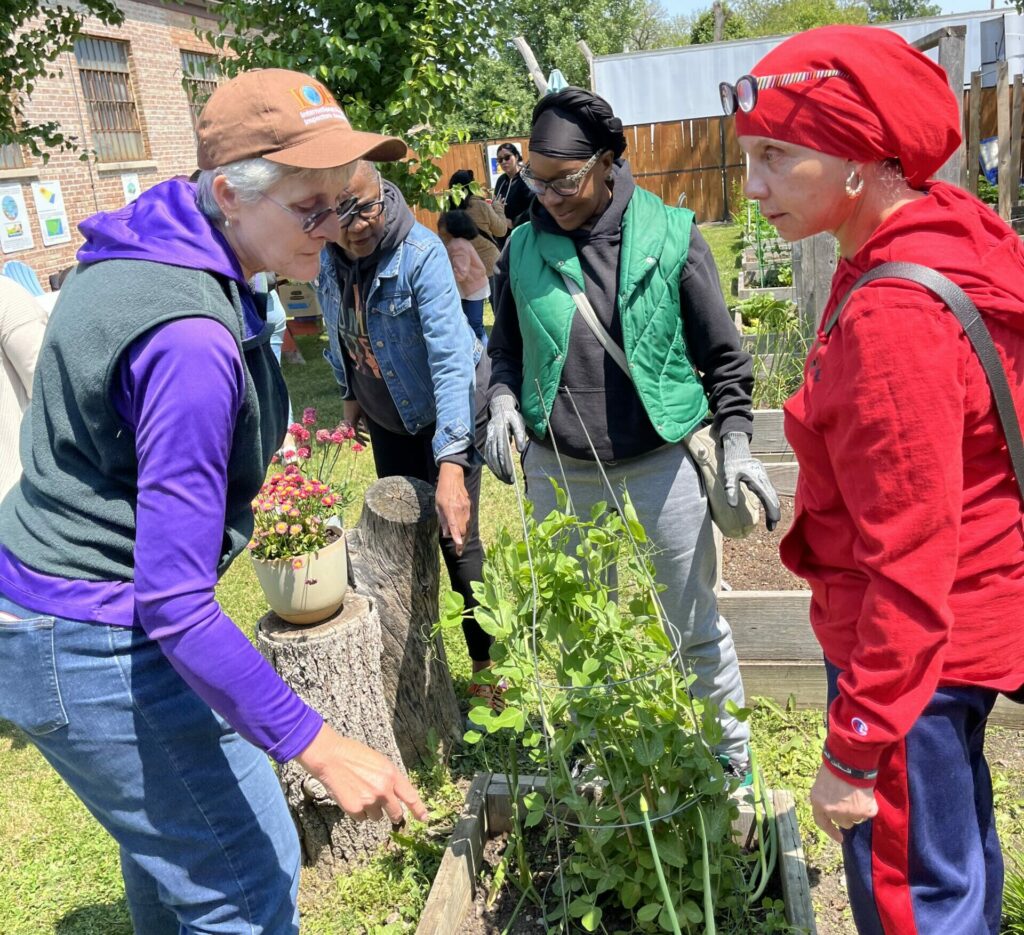 Gaia Home Garden Club - sustainable farming